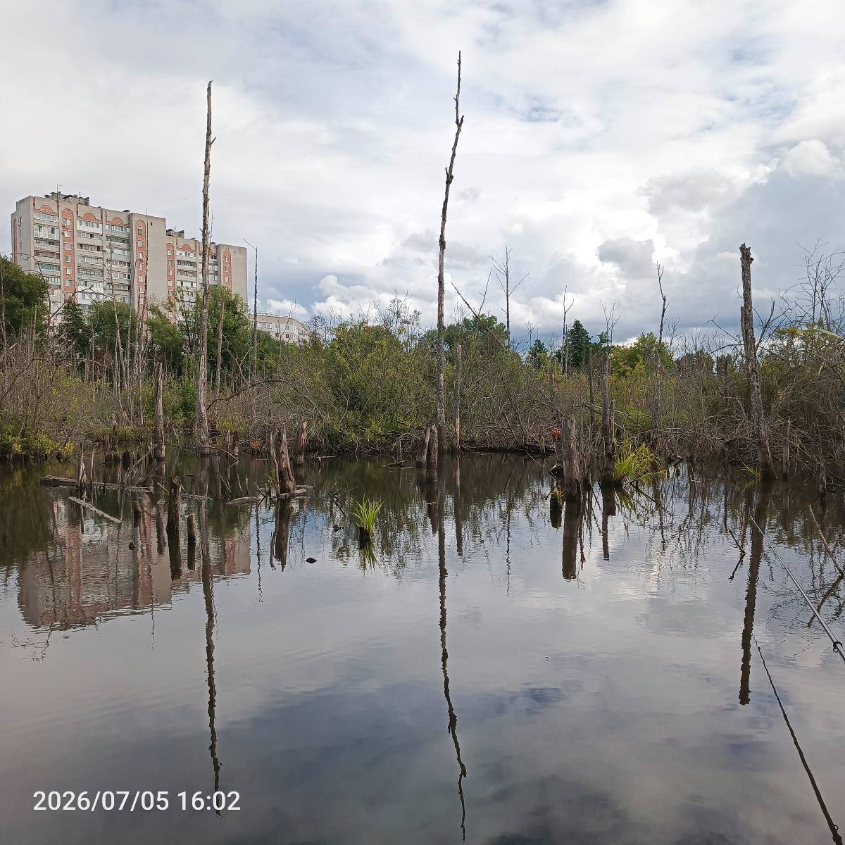 Болото