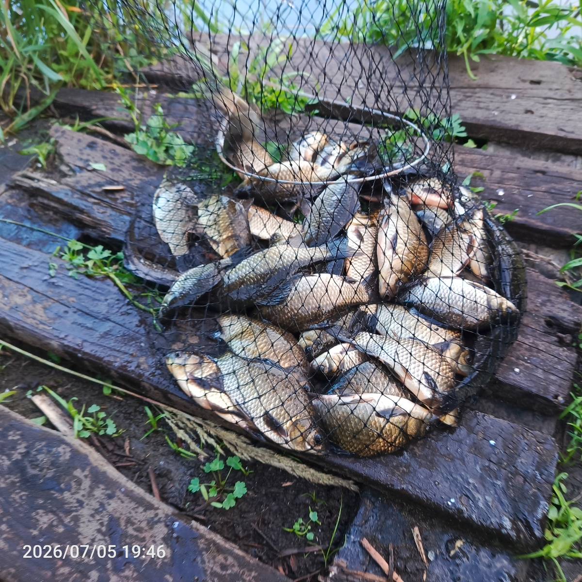 Фото 4