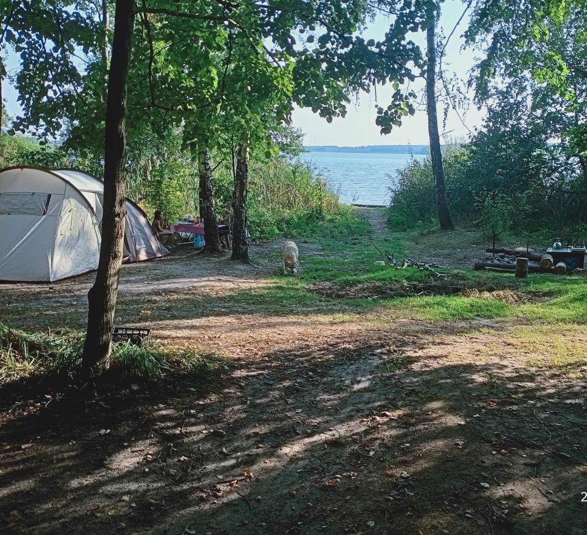 Десногорск